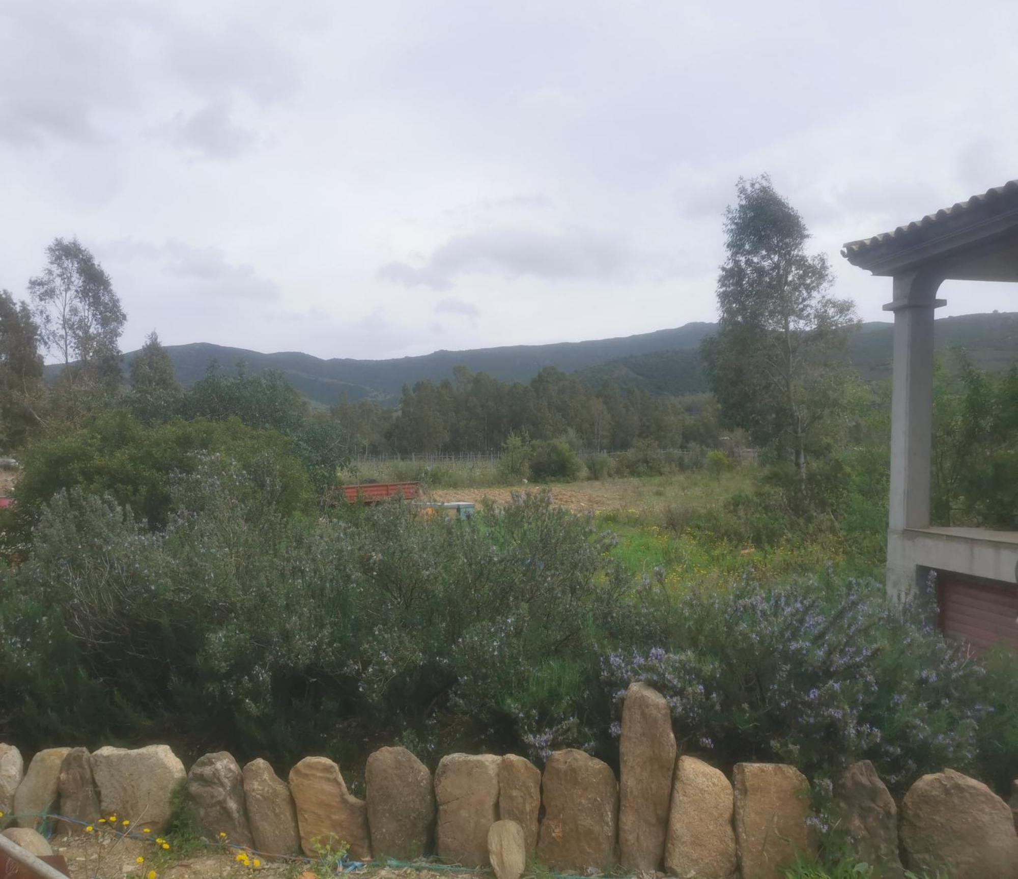 Holiday home Localita Zarvenu Siniscola